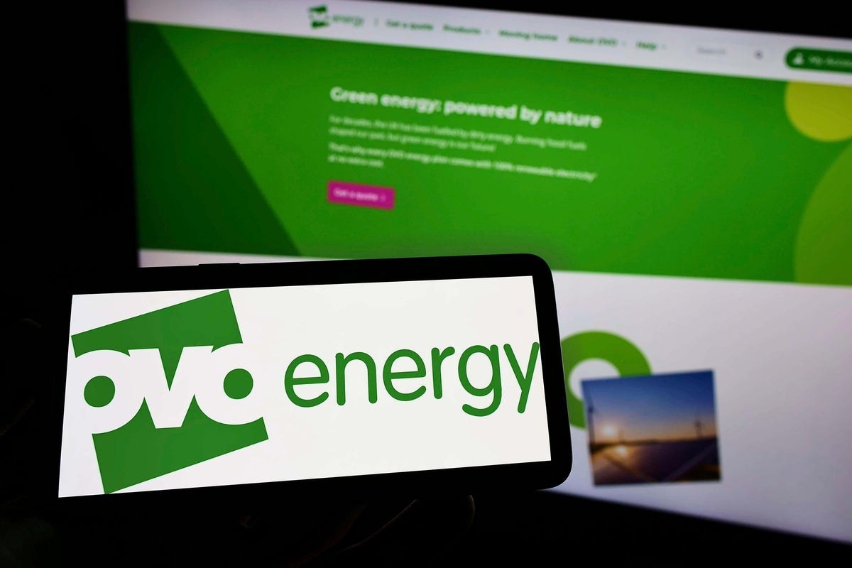 What Does E.On's Acquisition of Ovo Mean for the UK Energy Market? — image via independent.co.uk